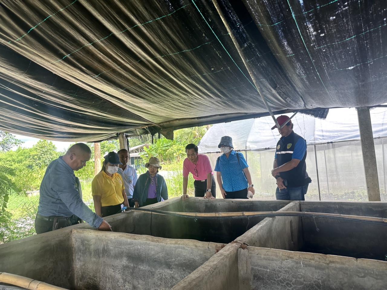 ภาพประกอบที่ 4