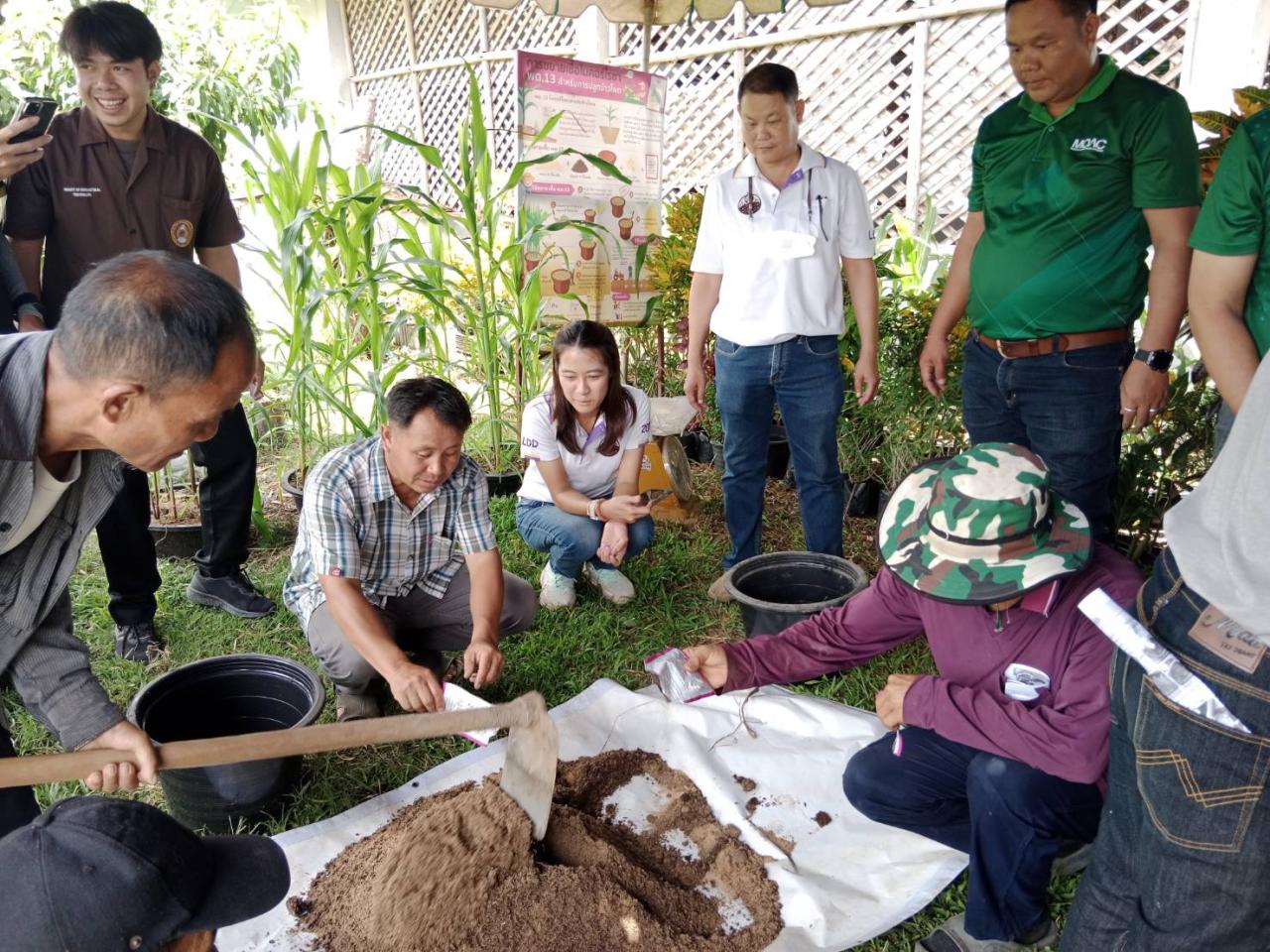 ภาพประกอบที่ 1