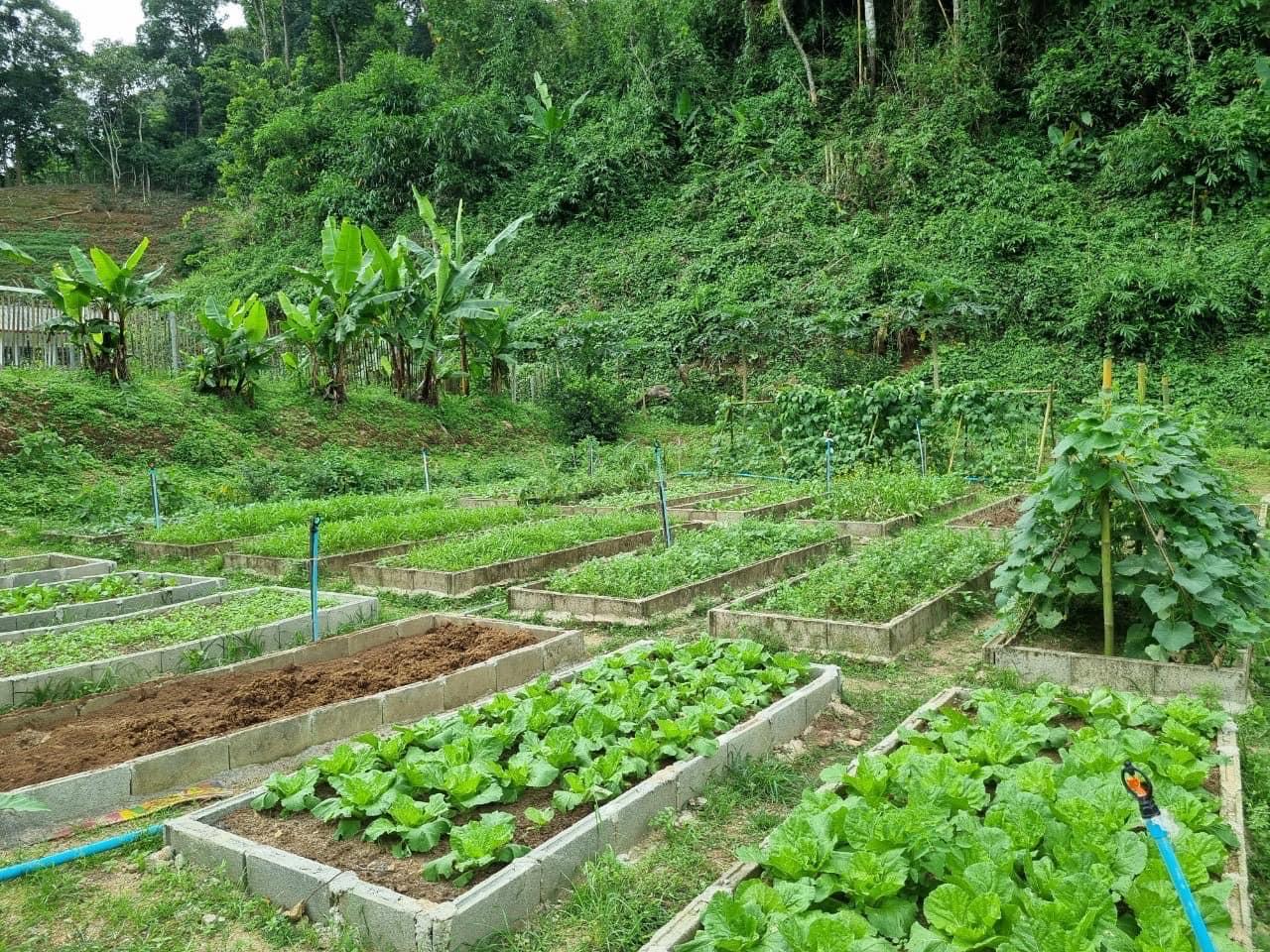 ภาพประกอบที่ 3