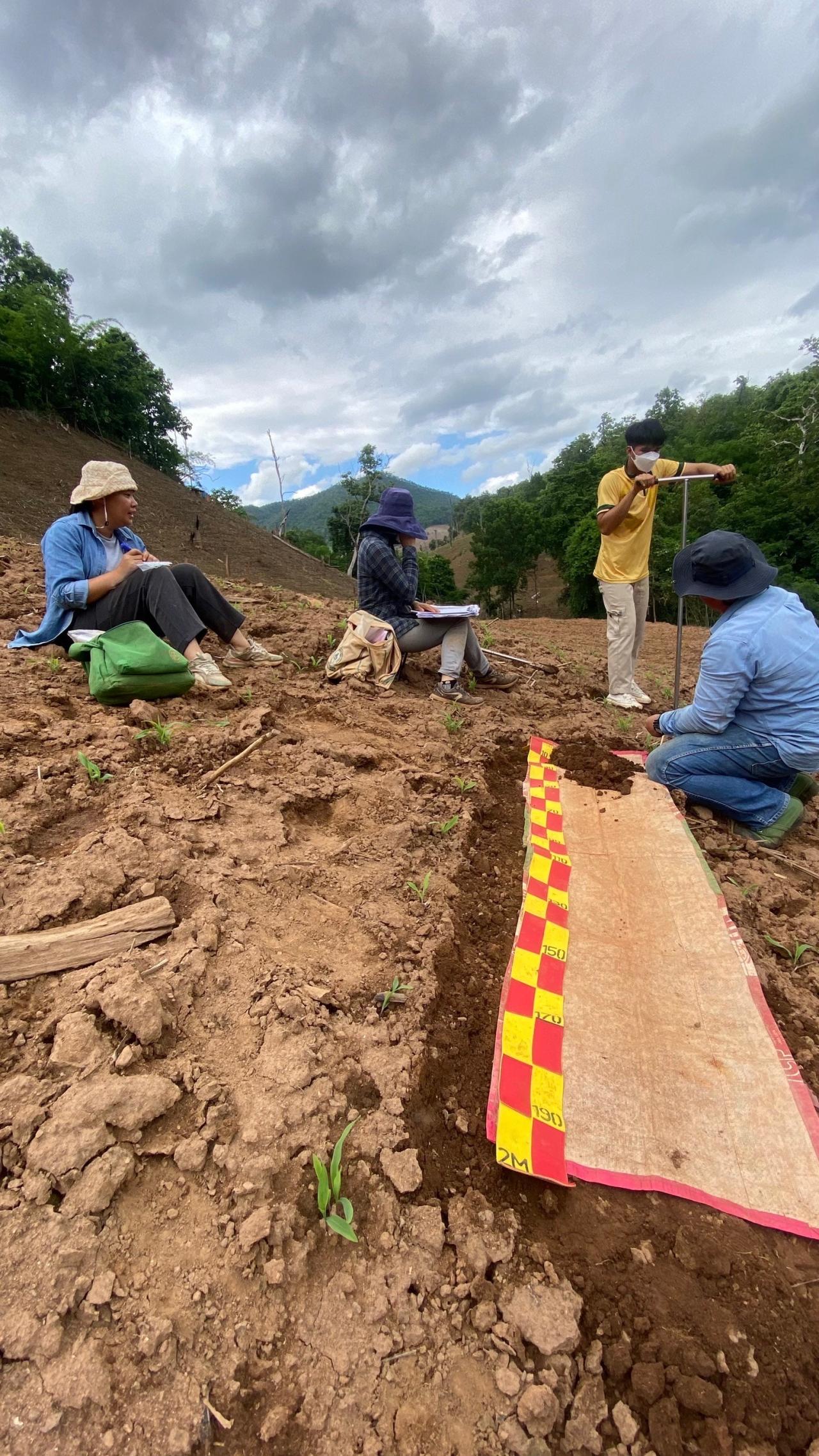 ภาพประกอบที่ 1