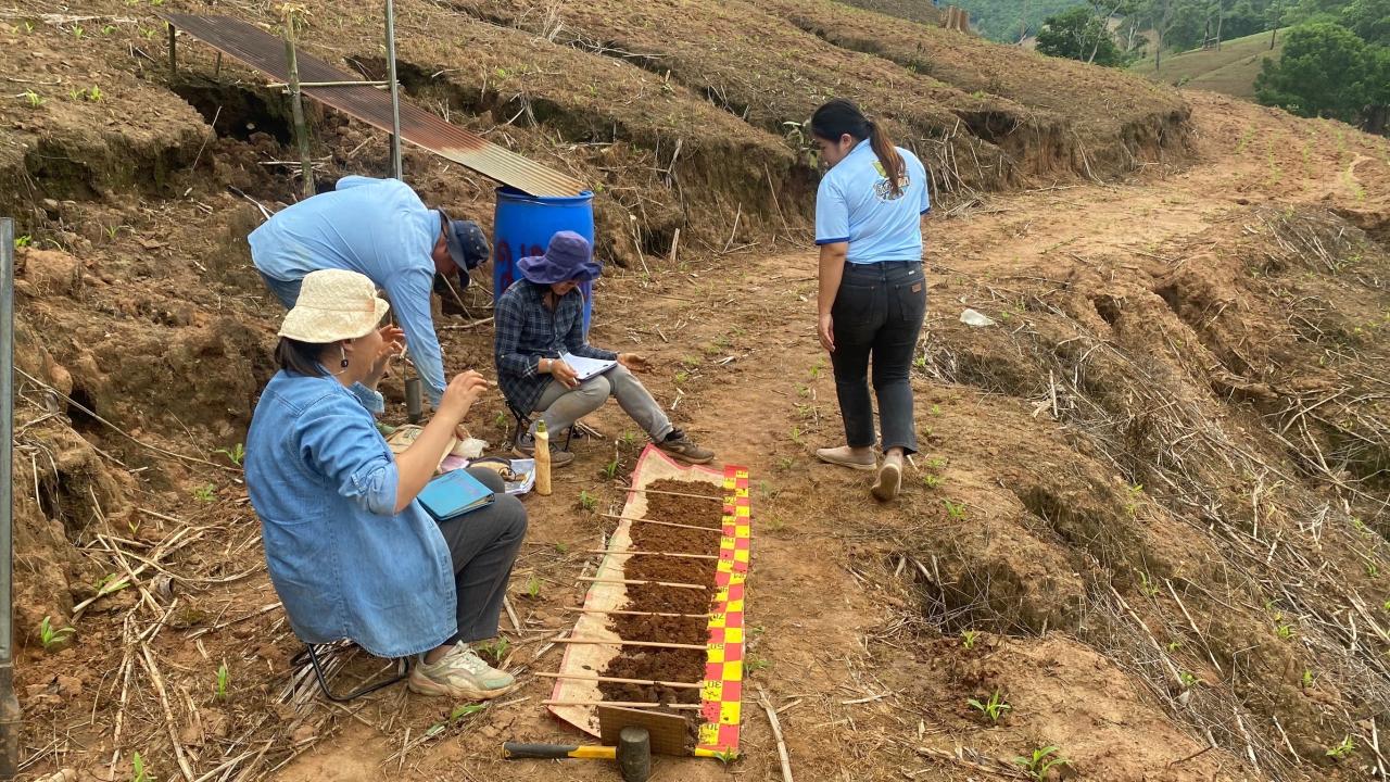 ภาพประกอบที่ 0