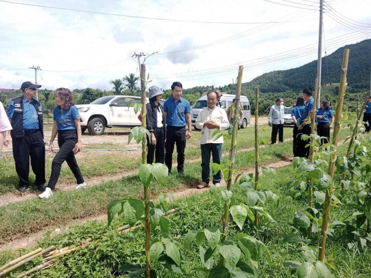 ภาพประกอบที่ 0