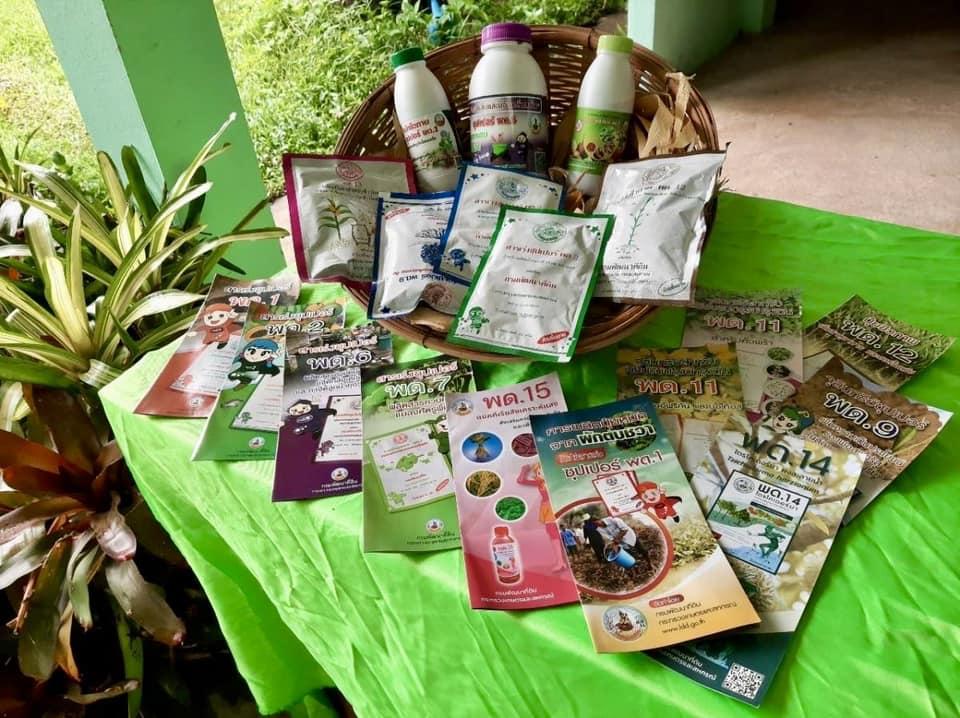 ภาพประกอบที่ 2