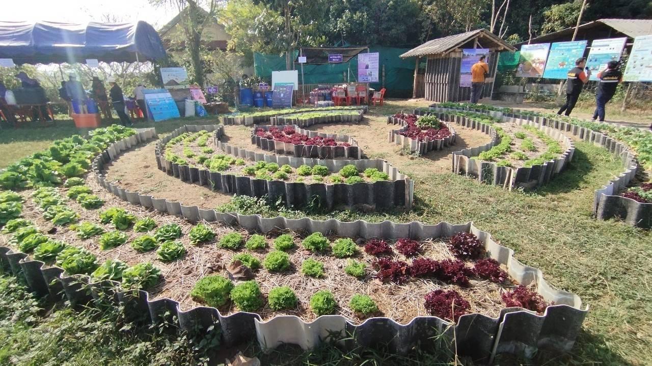 ภาพประกอบที่ 3