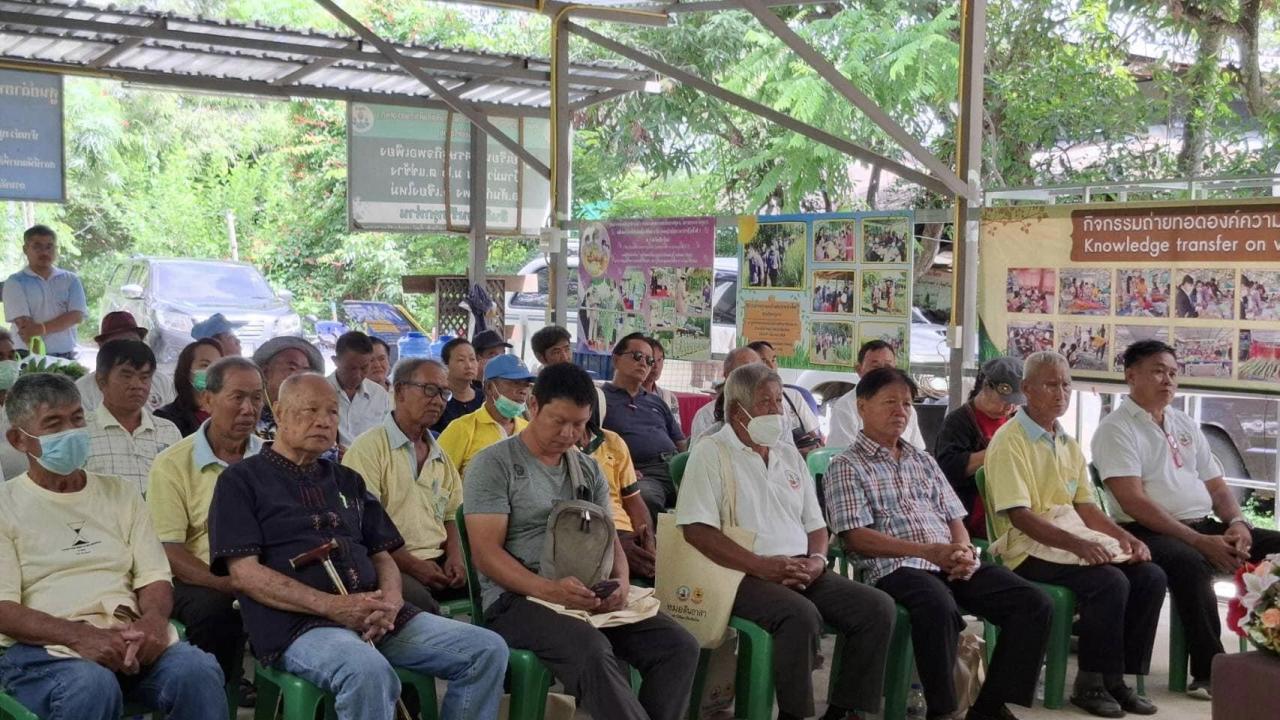 ภาพประกอบที่ 6