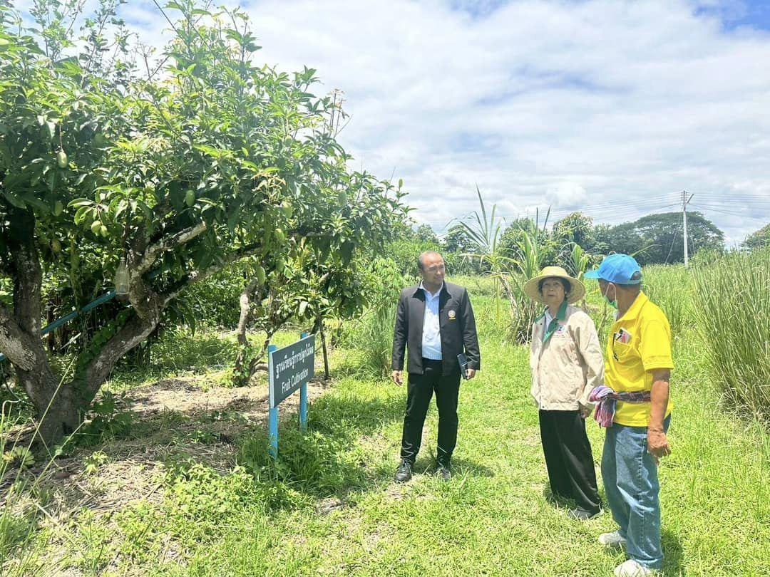 ภาพประกอบที่ 0