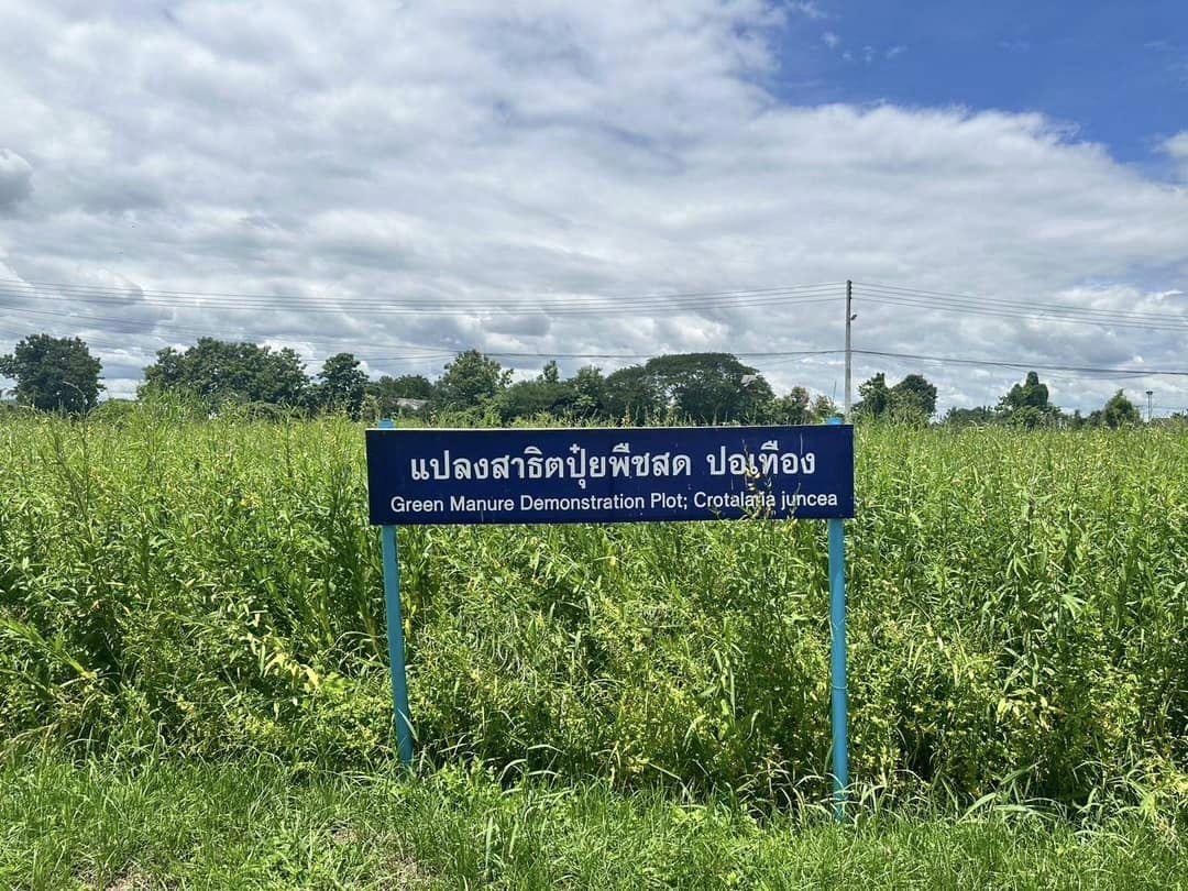 ภาพประกอบที่ 4