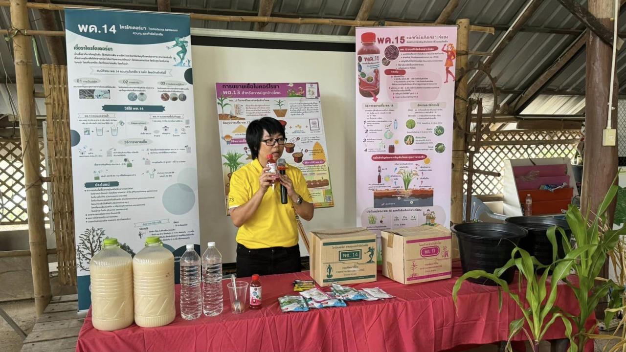 ภาพประกอบที่ 1