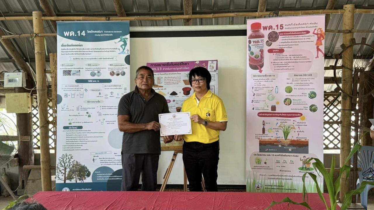 ภาพประกอบที่ 3