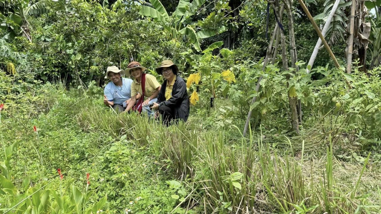 ภาพประกอบที่ 2