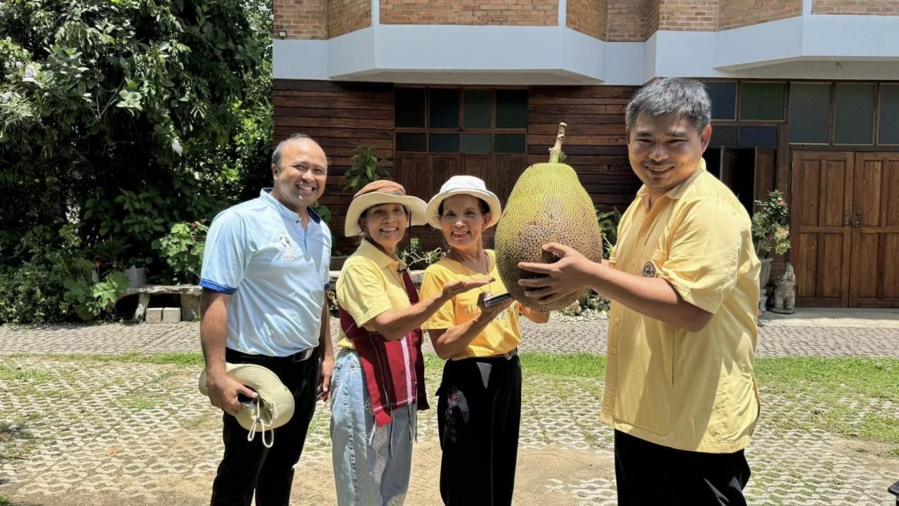 ภาพประกอบที่ 3