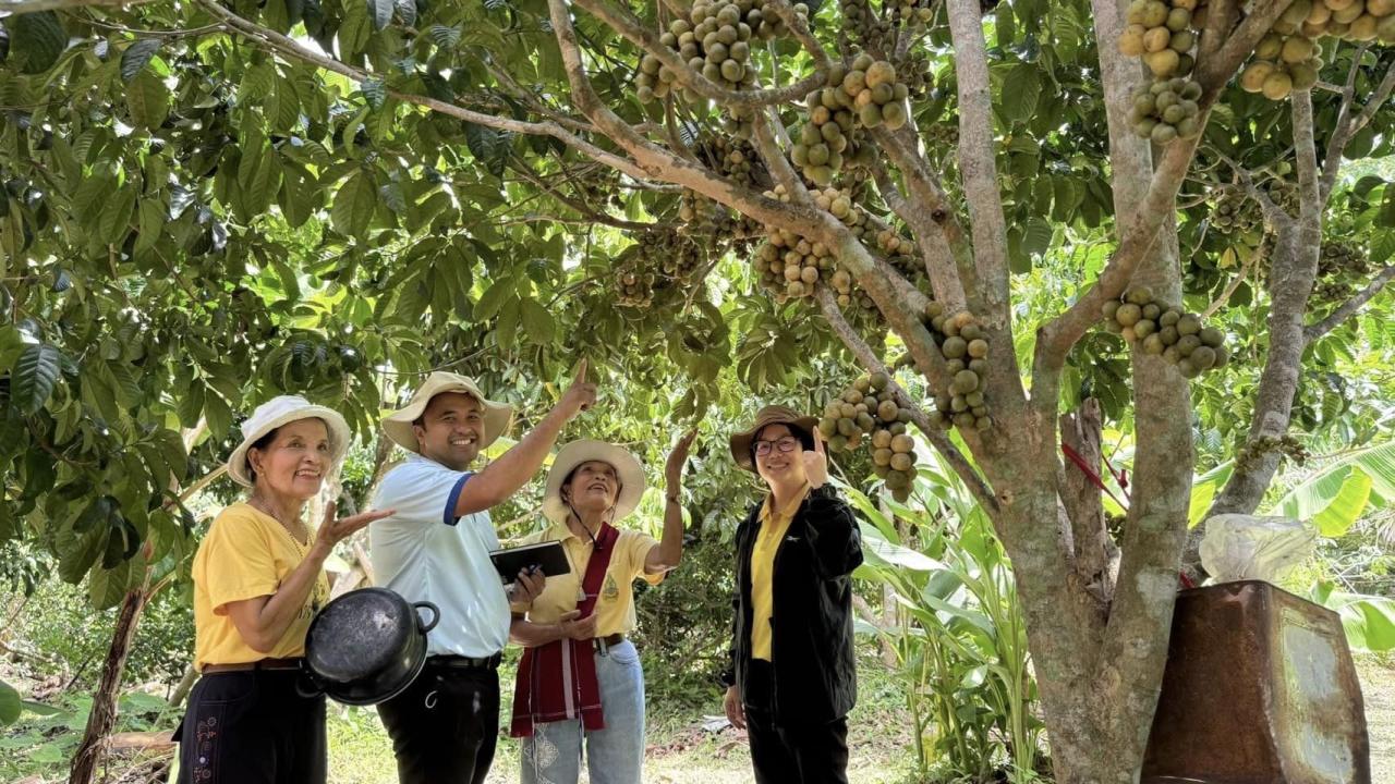 ภาพประกอบที่ 4