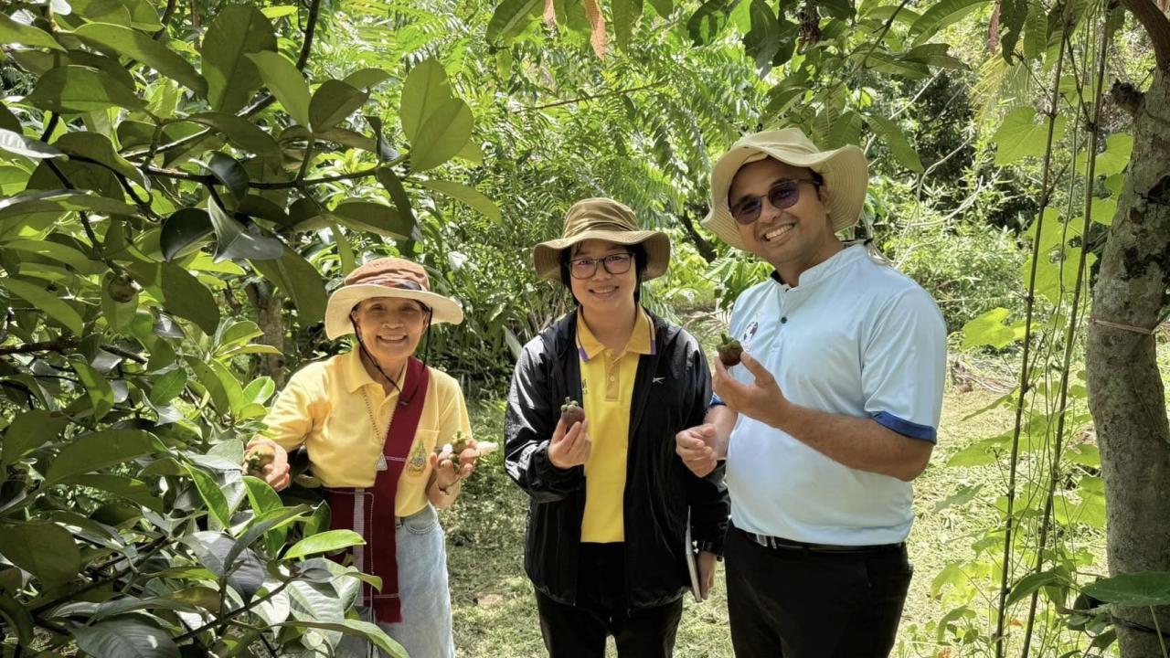 ภาพประกอบที่ 6