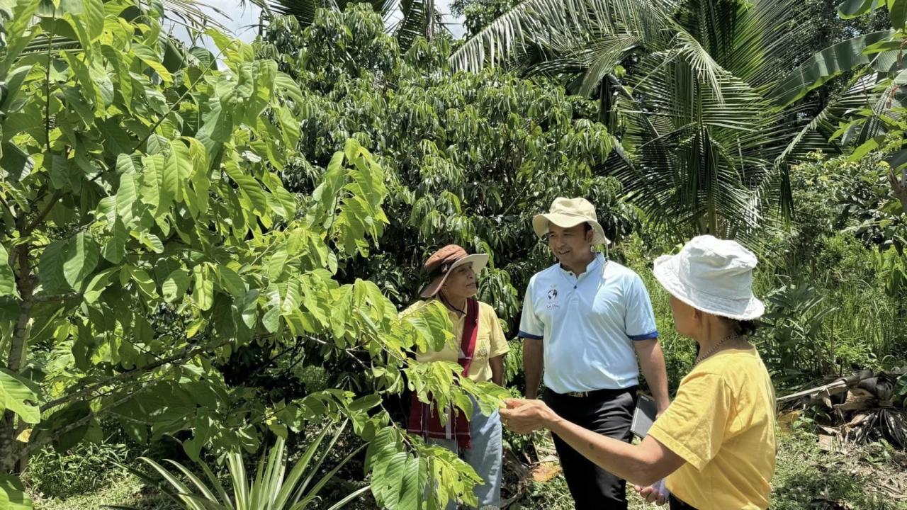 ภาพประกอบที่ 7