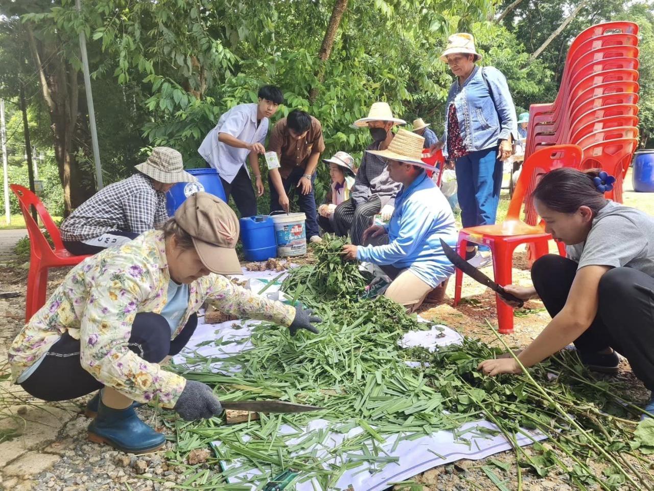 ภาพประกอบที่ 2