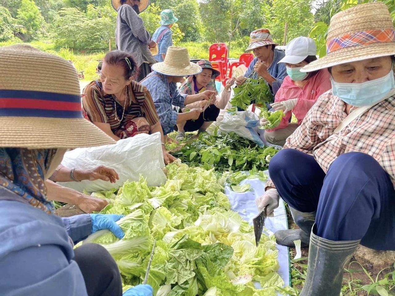 ภาพประกอบที่ 5