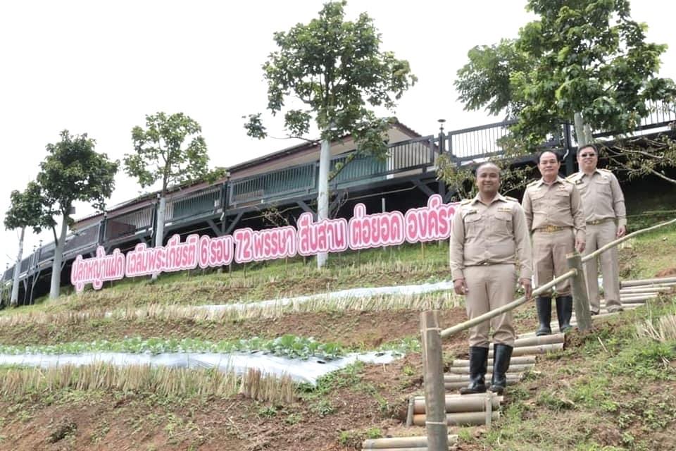 ภาพประกอบที่ 3