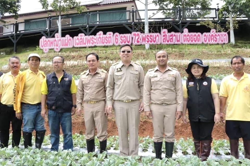 ภาพประกอบที่ 5