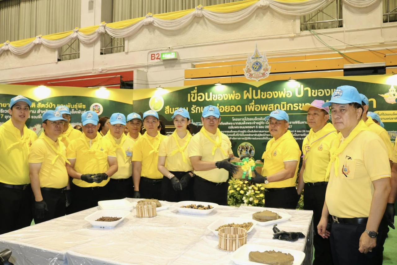 ภาพประกอบที่ 1