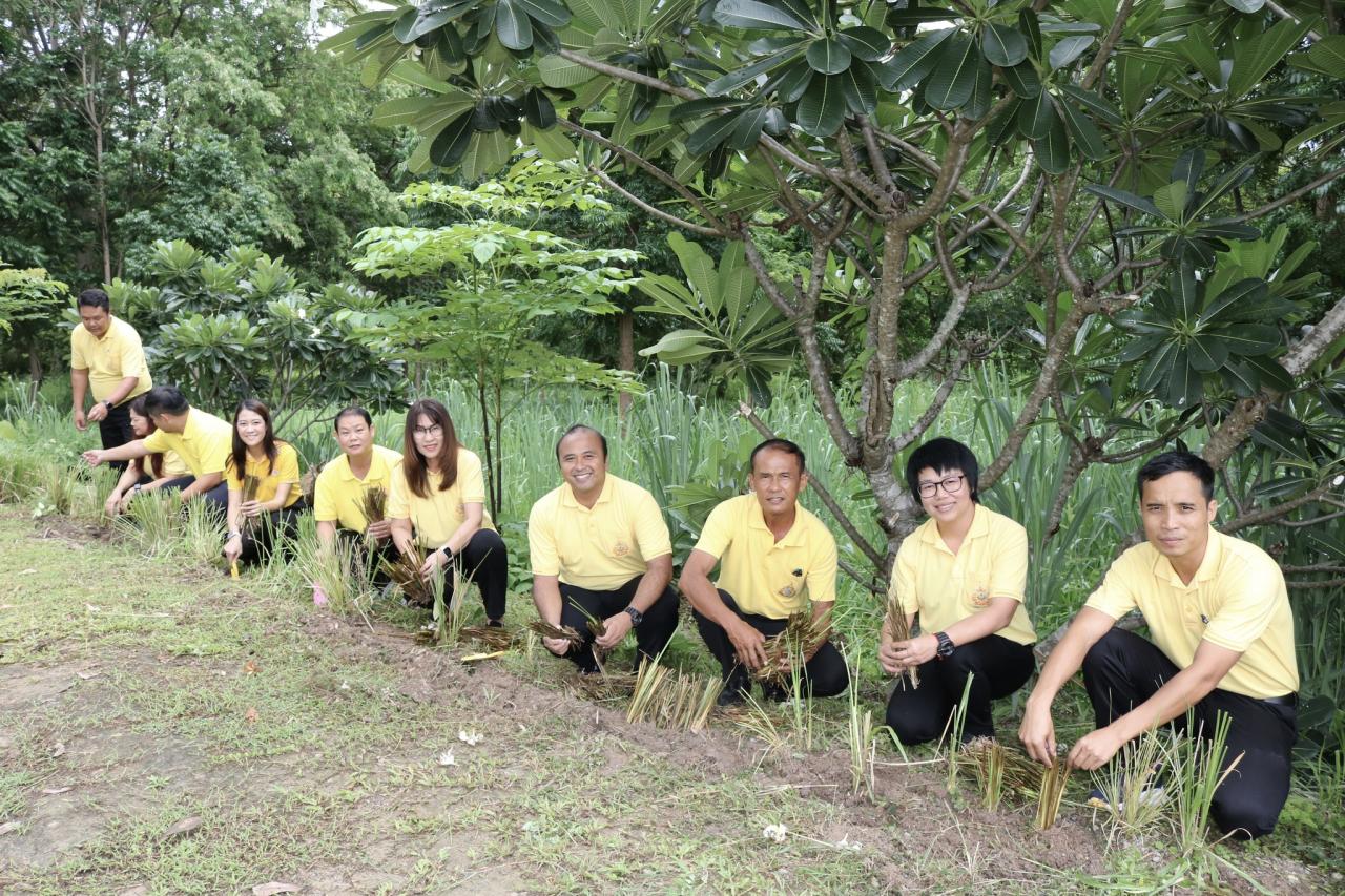 ภาพประกอบที่ 1