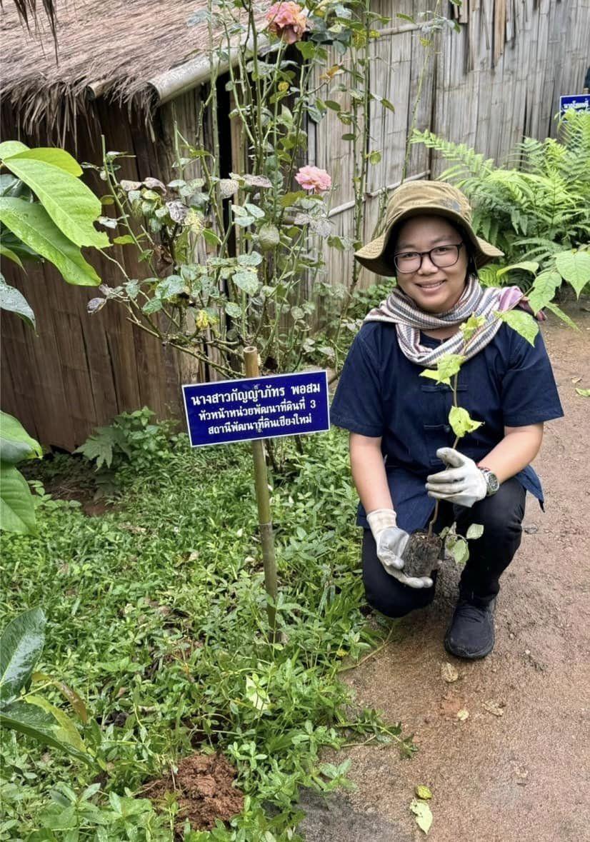 ภาพประกอบที่ 3