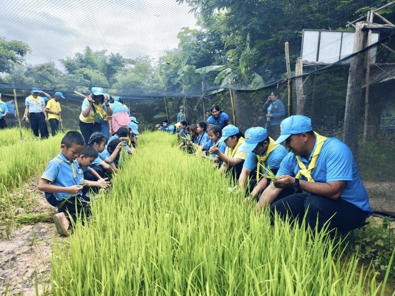 ภาพประกอบที่ 2