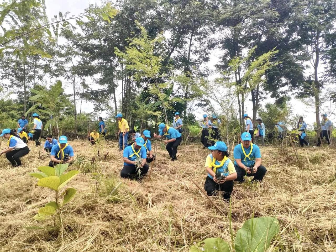 ภาพประกอบที่ 4