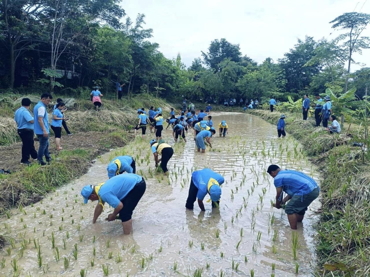 ภาพประกอบที่ 5