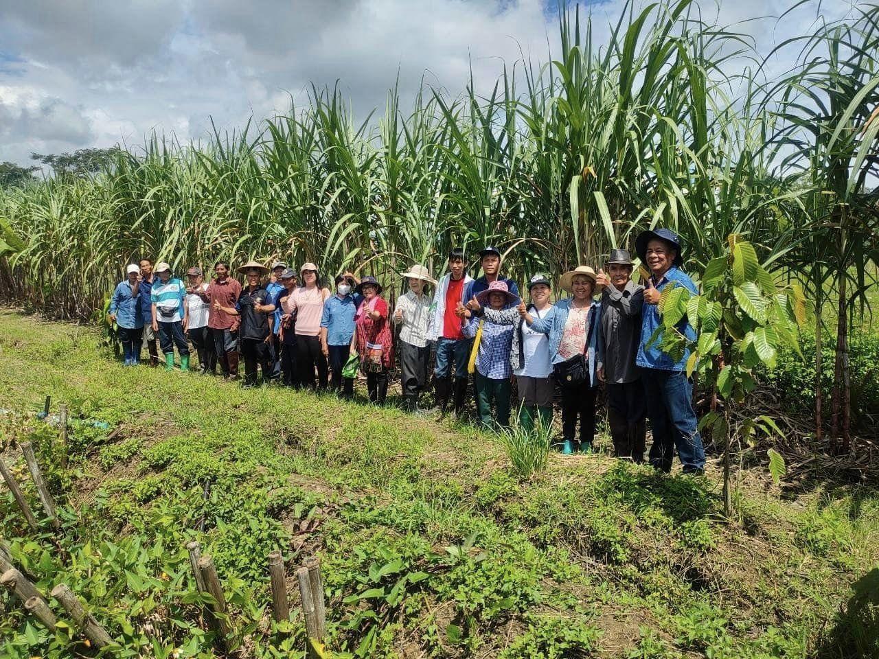 ภาพประกอบที่ 2