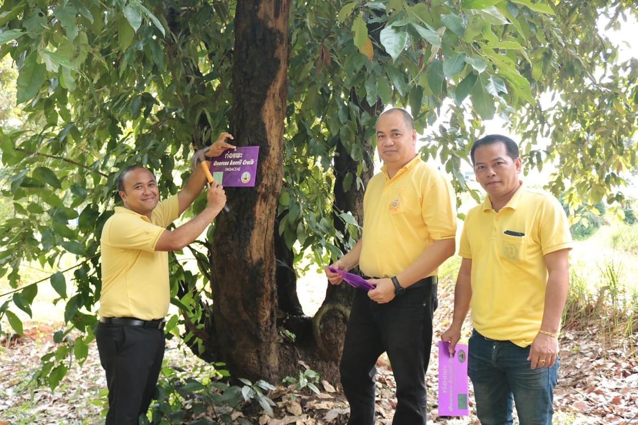 ภาพประกอบที่ 2