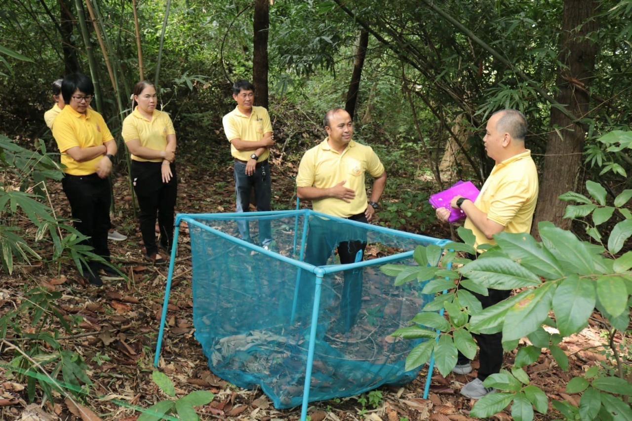 ภาพประกอบที่ 3