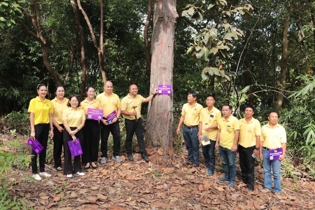 ภาพประกอบที่ 4