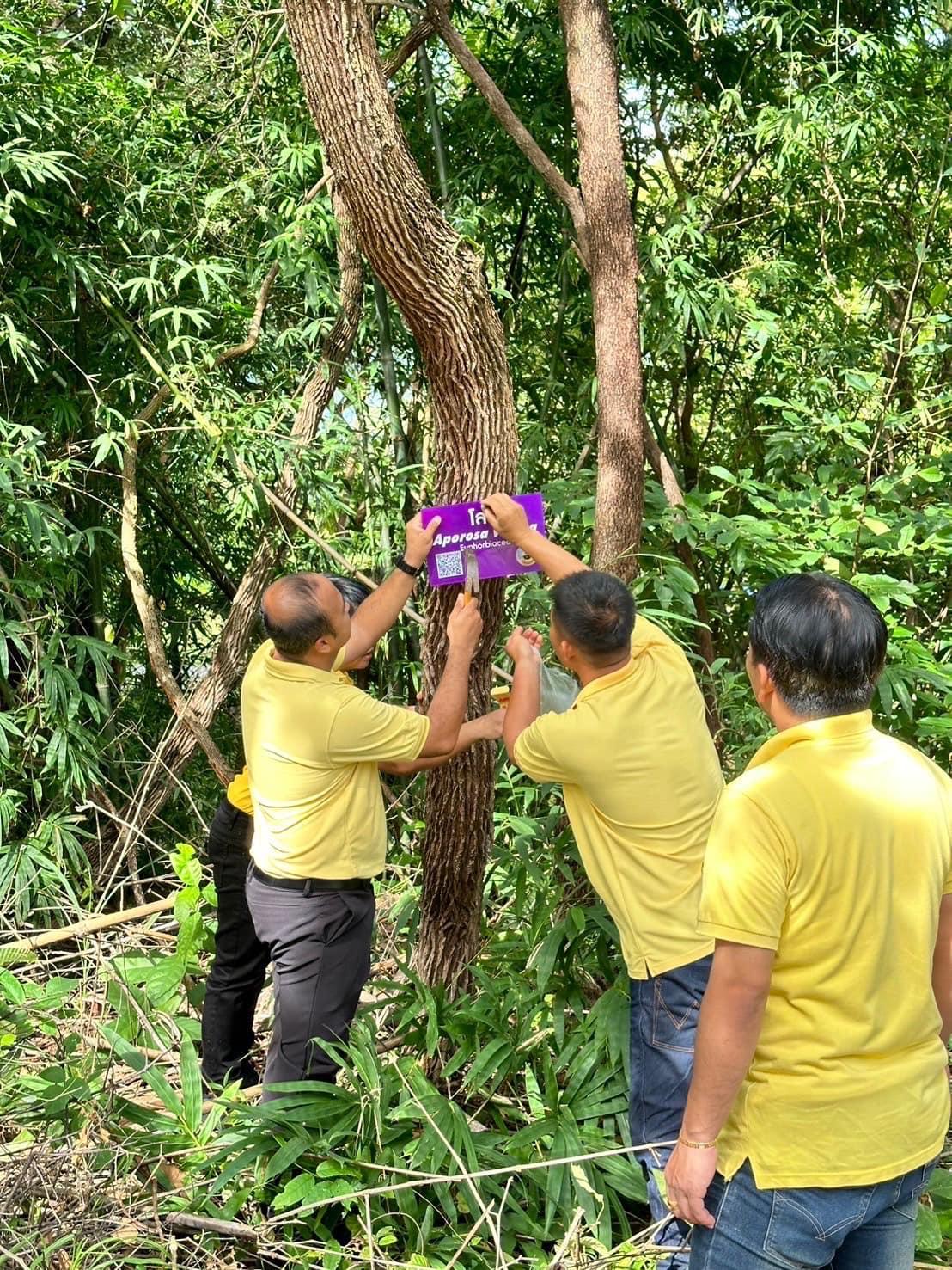 ภาพประกอบที่ 5