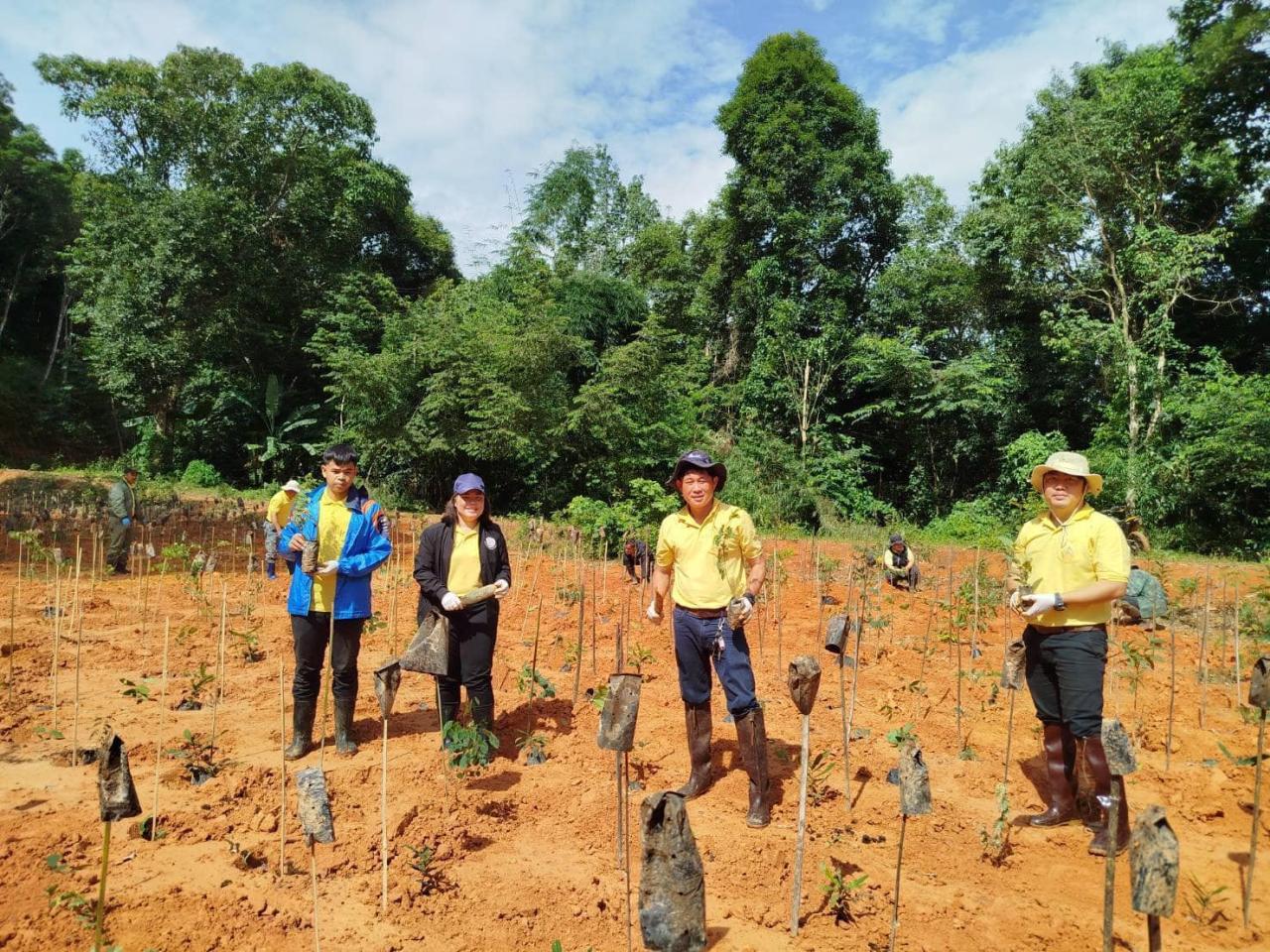 ภาพประกอบที่ 3