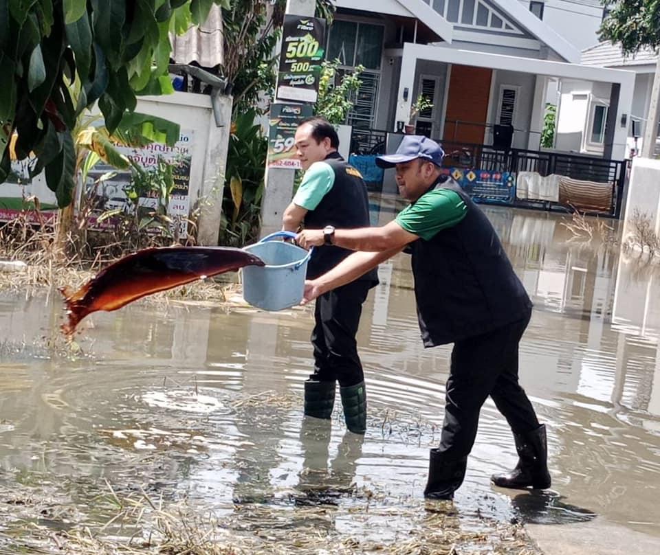 ภาพประกอบที่ 10