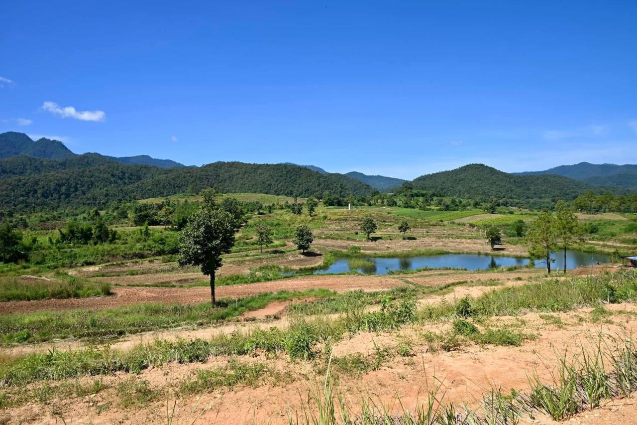 ภาพประกอบที่ 15