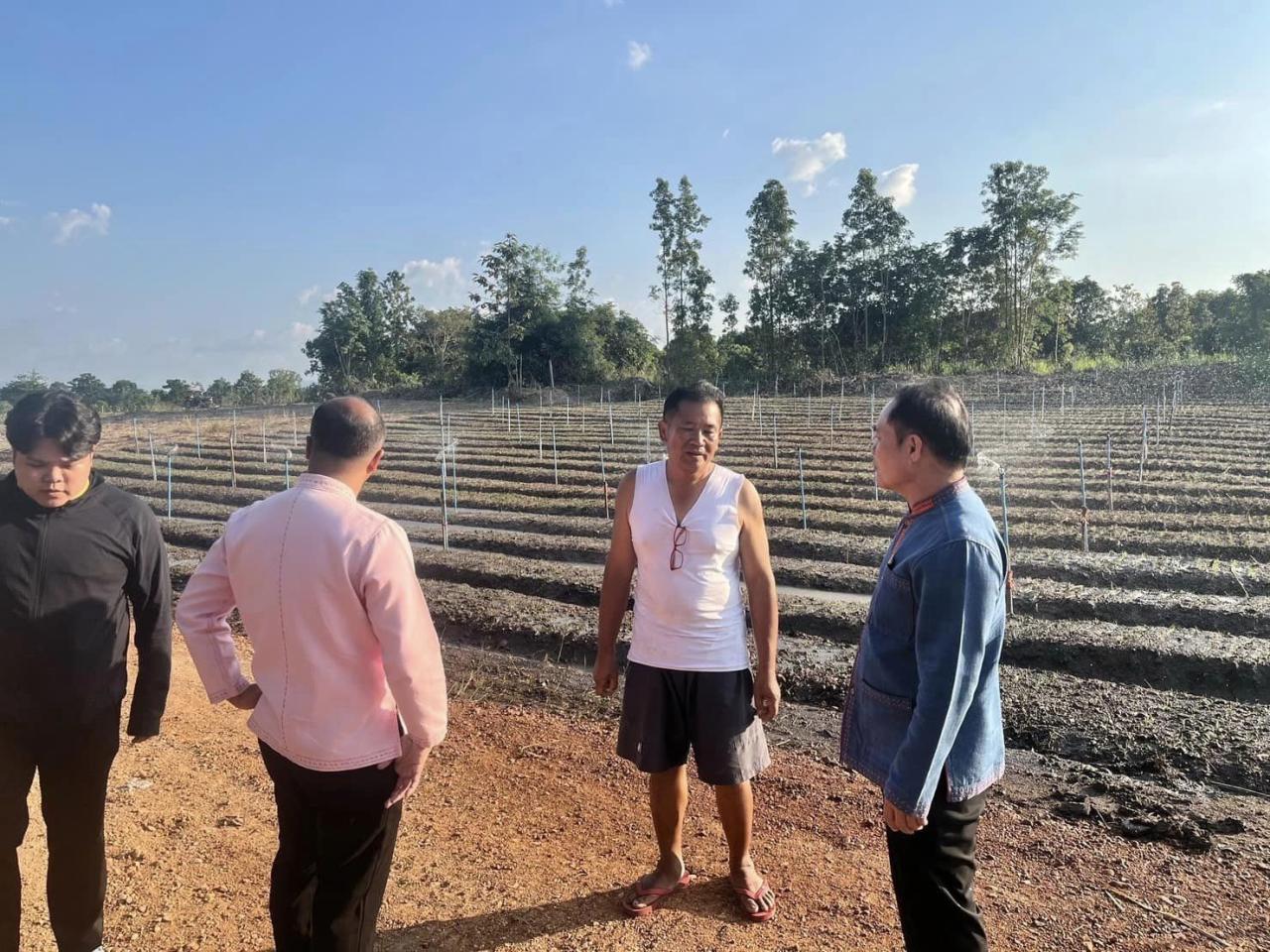 ภาพประกอบที่ 8