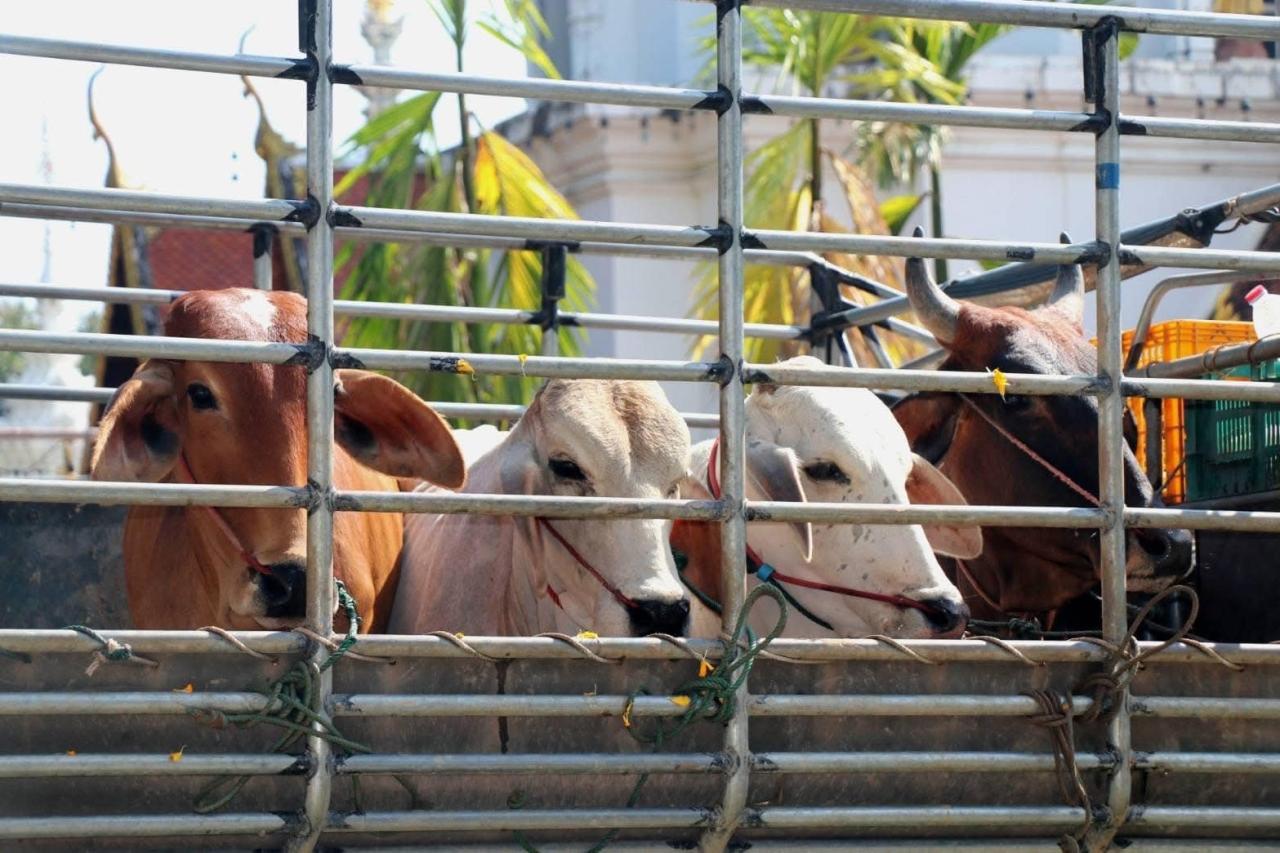 ภาพประกอบที่ 9