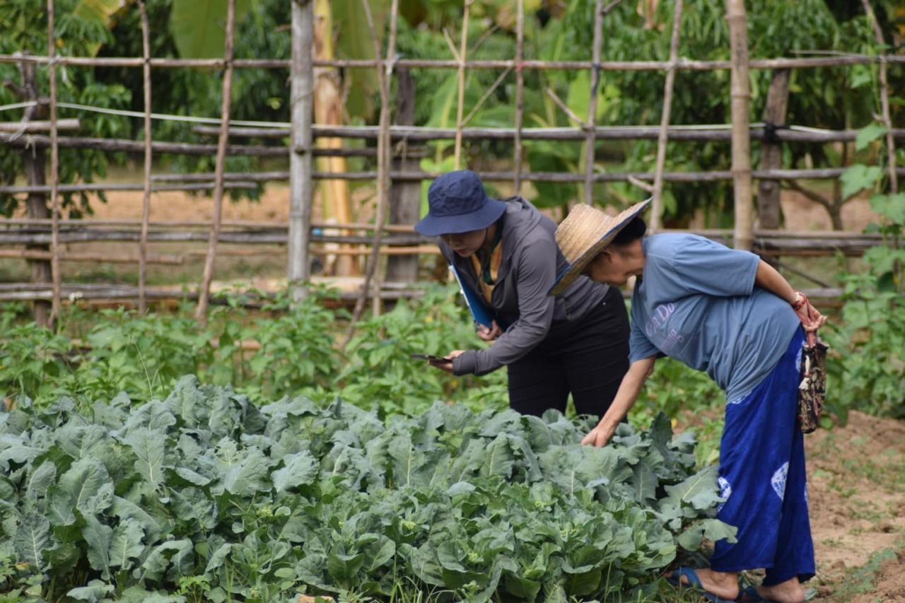 ภาพประกอบที่ 1