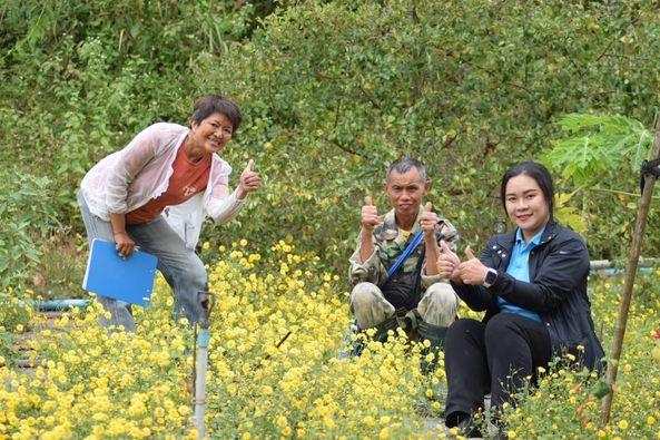 ภาพประกอบที่ 3