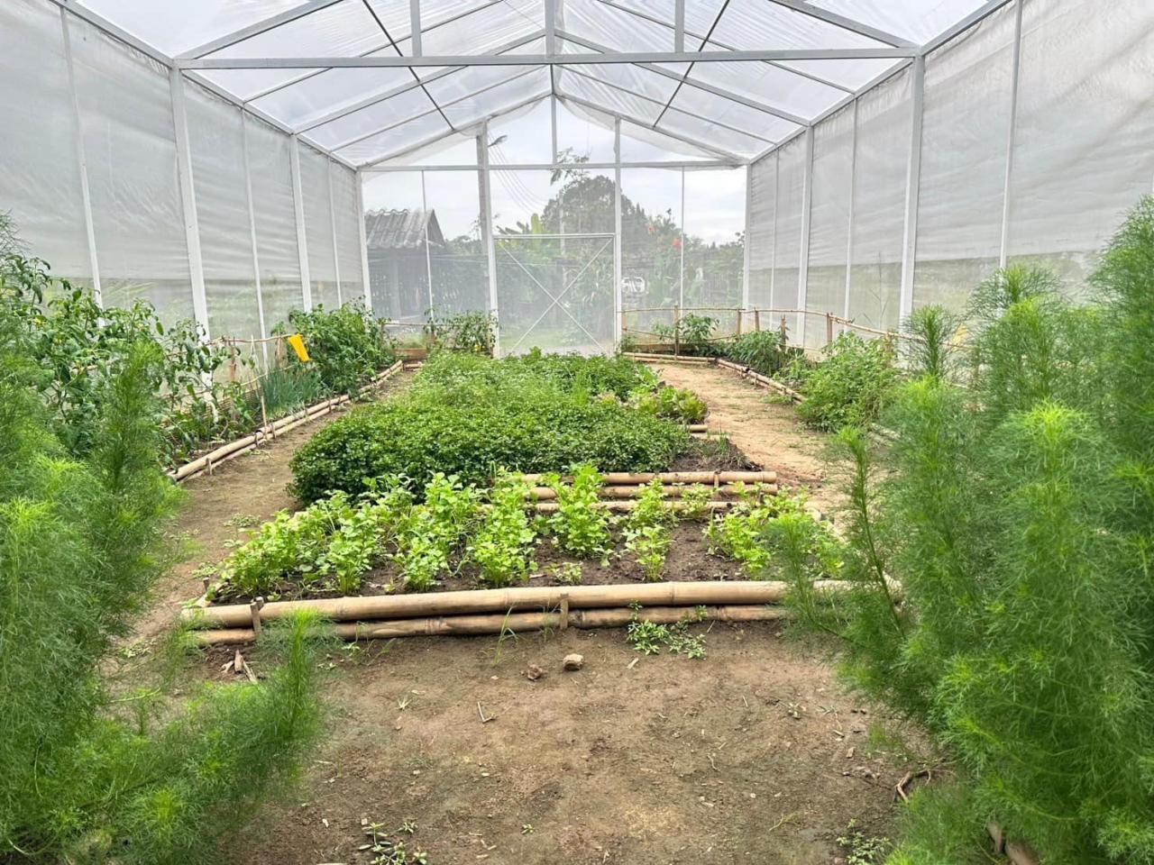 ภาพประกอบที่ 7