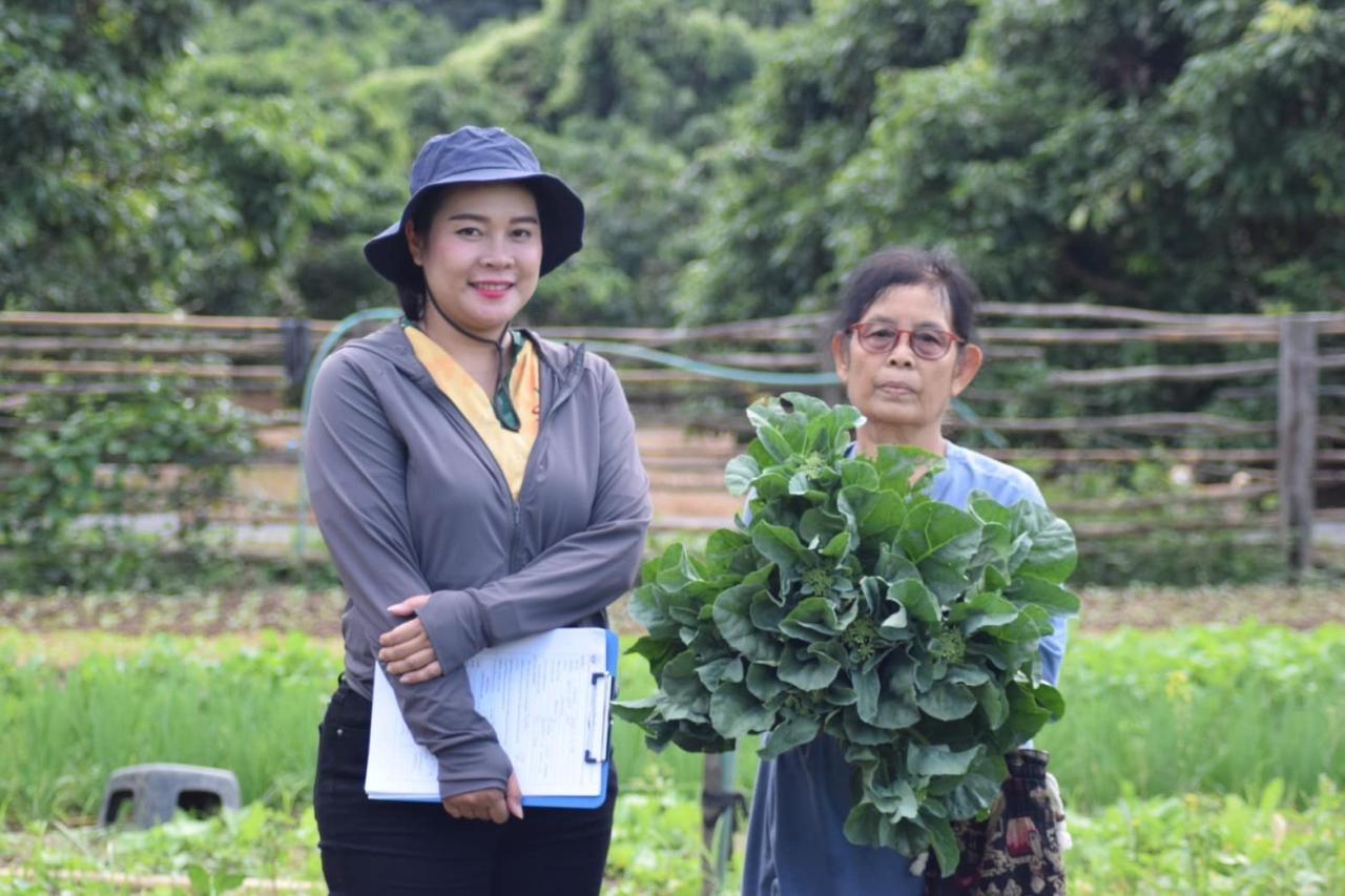ภาพประกอบที่ 8