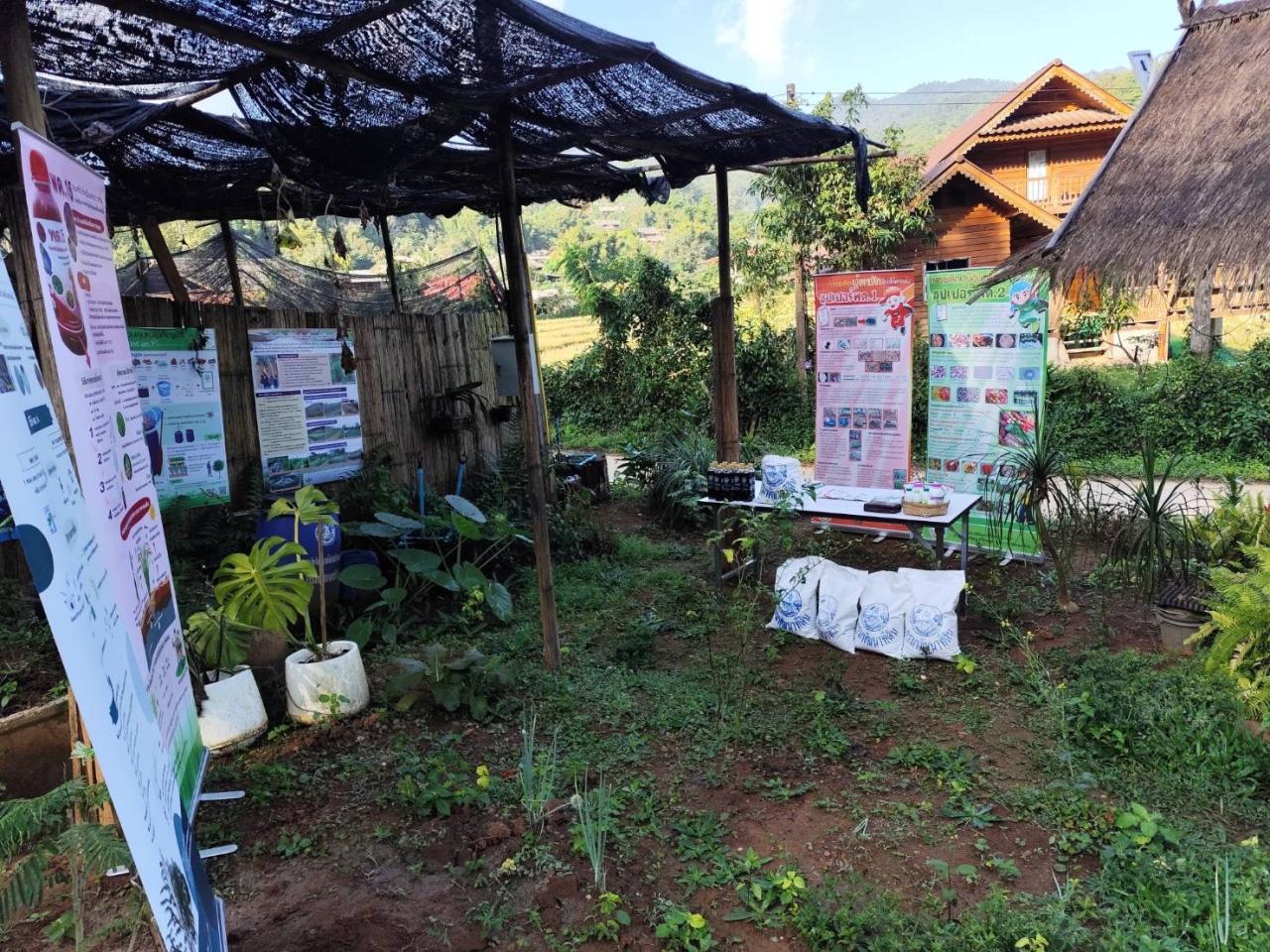 ภาพประกอบที่ 5