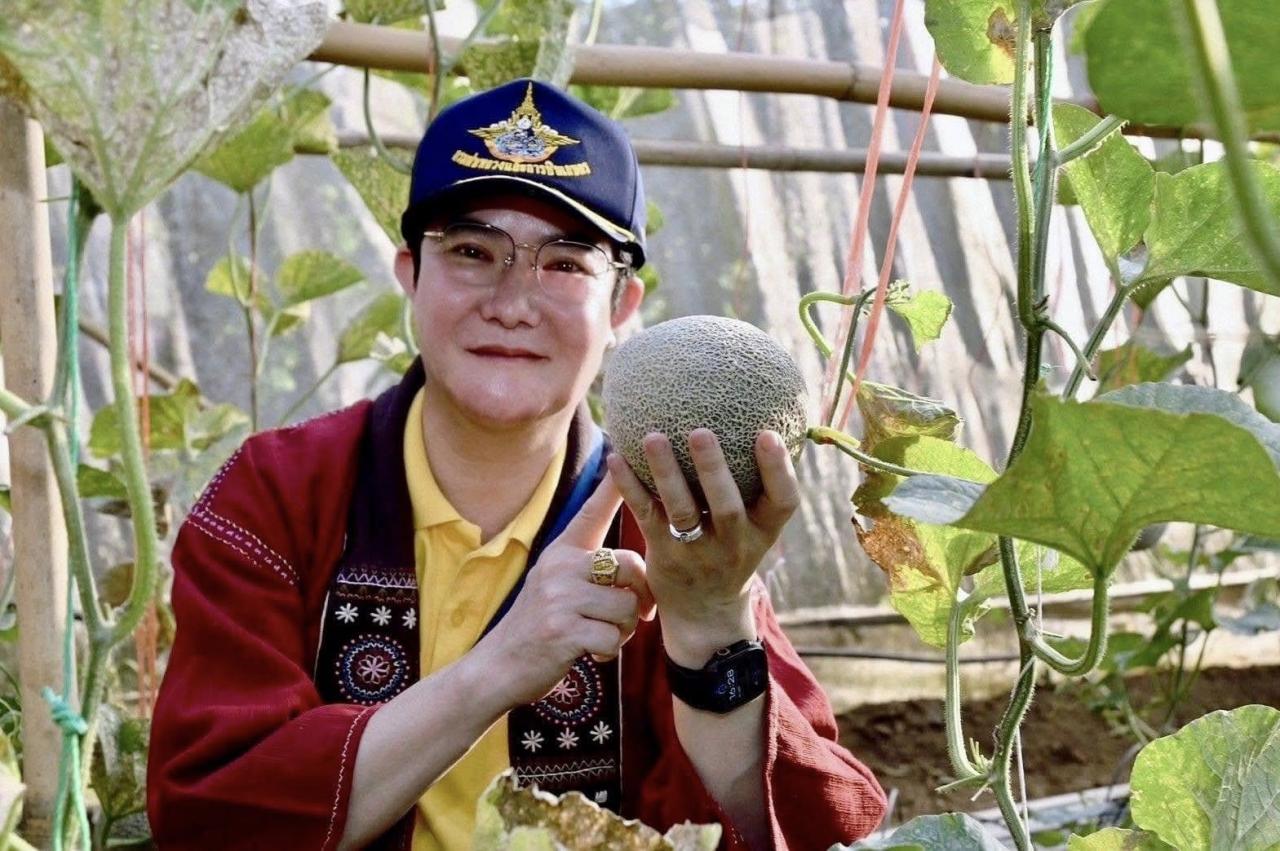 ภาพประกอบที่ 5