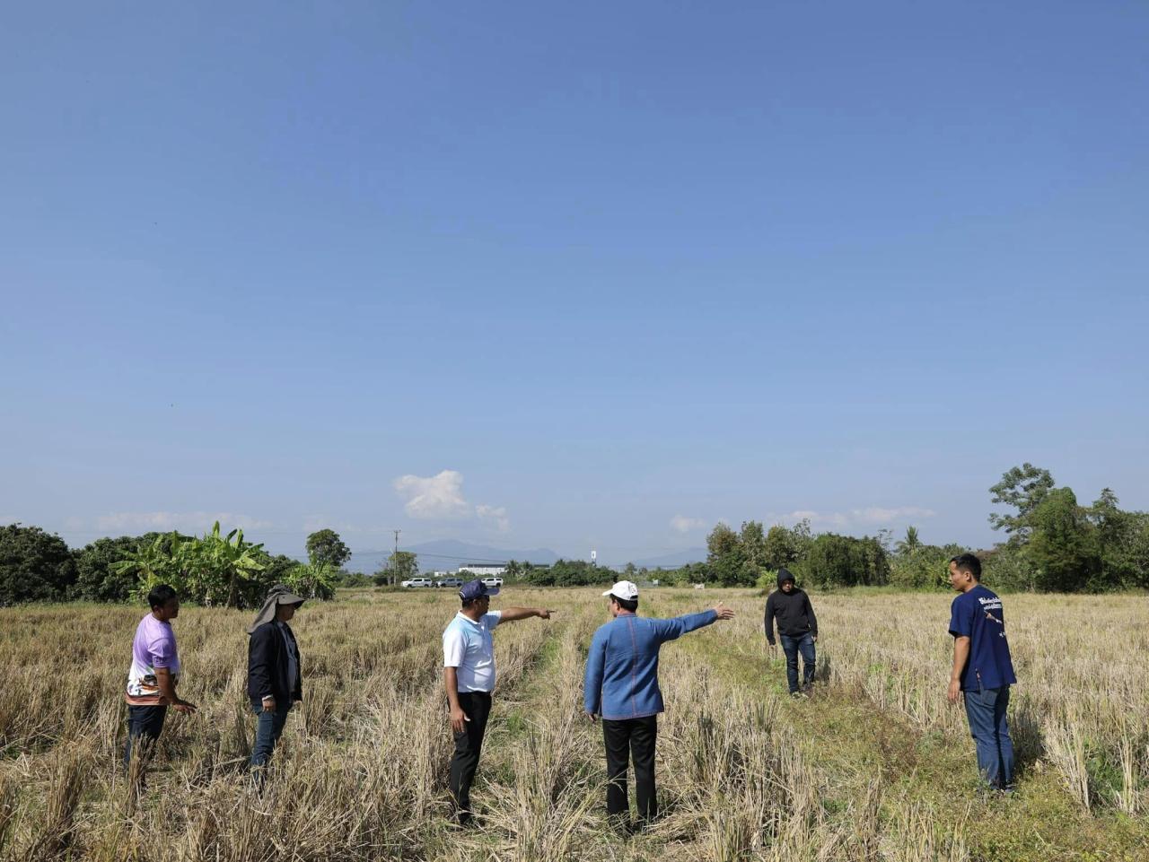 ภาพประกอบที่ 5