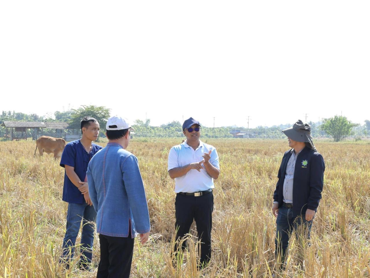 ภาพประกอบที่ 7