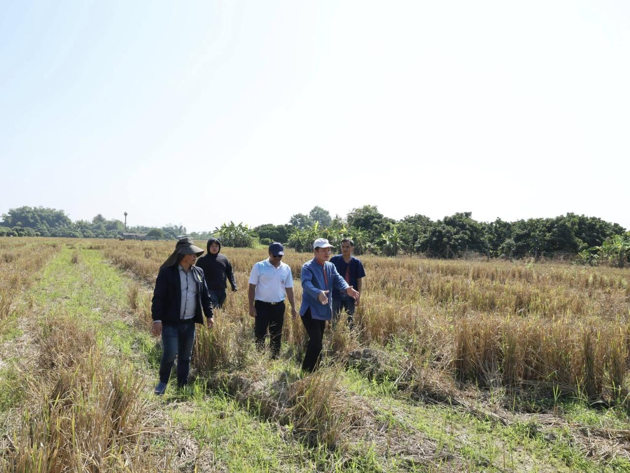 ภาพประกอบที่ 9