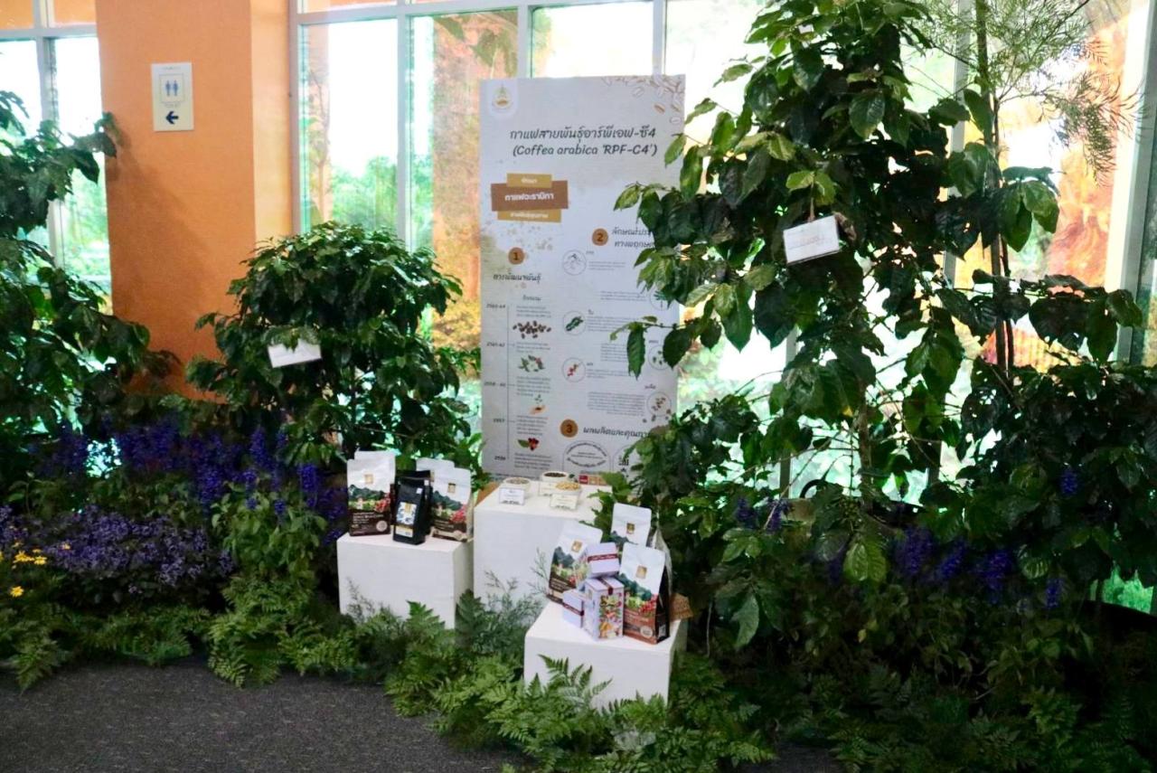 ภาพประกอบที่ 4