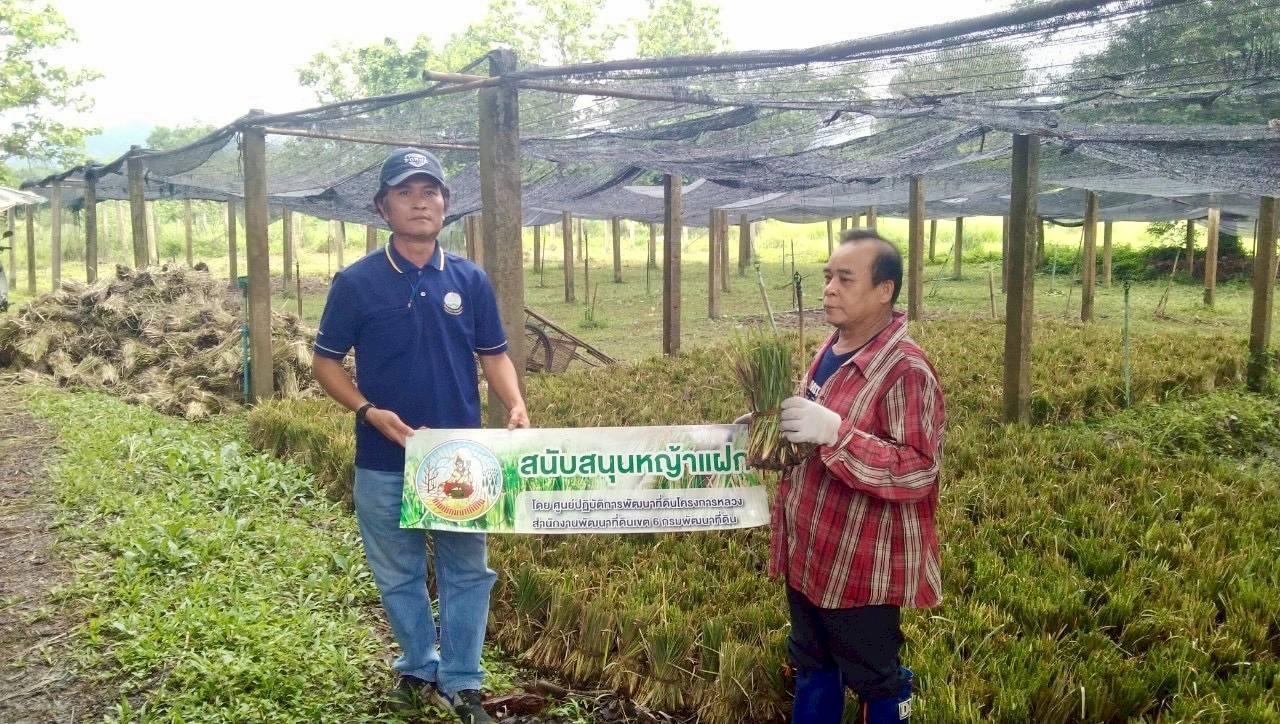 ภาพประกอบที่ 0