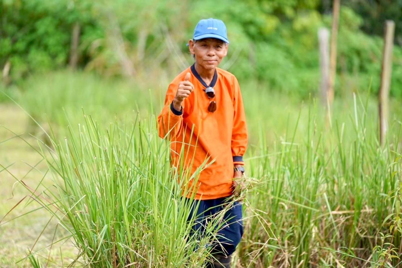 ภาพประกอบที่ 2
